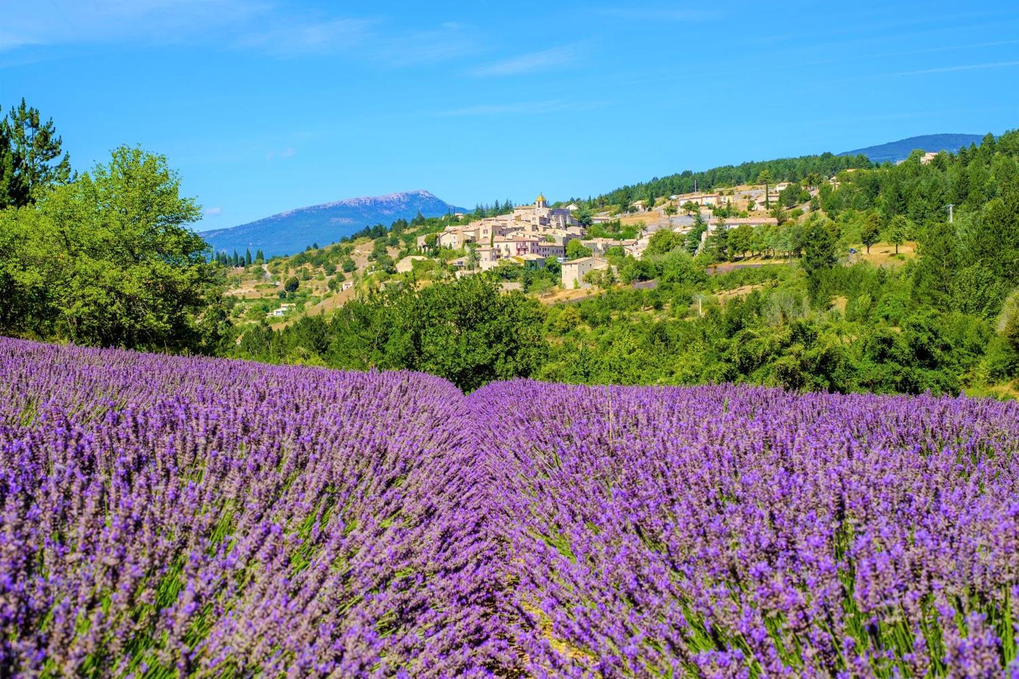 Village Le Hameau Des Oliviers Hotel Vaison-la-Romaine